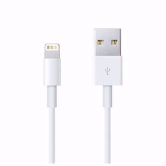 Immagine di Cavo da Lightning a USB 0.5m Apple